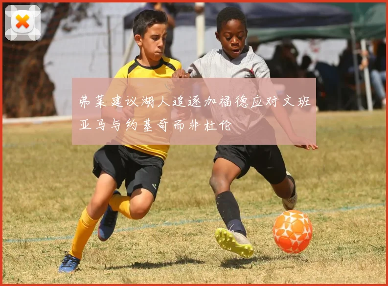 弗莱建议湖人追逐加福德应对文班亚马与约基奇而非杜伦