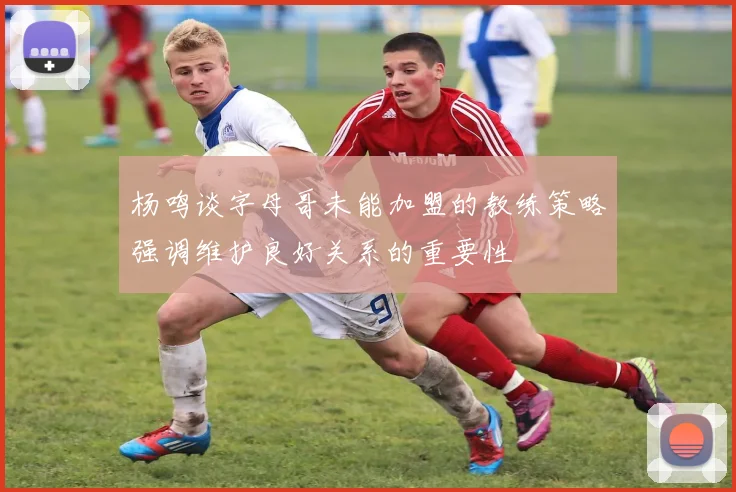 杨鸣谈字母哥未能加盟的教练策略强调维护良好关系的重要性