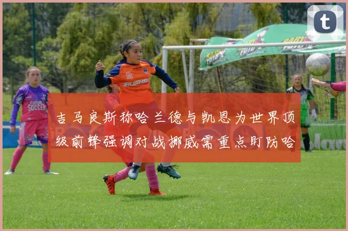 吉马良斯称哈兰德与凯恩为世界顶级前锋强调对战挪威需重点盯防哈兰德